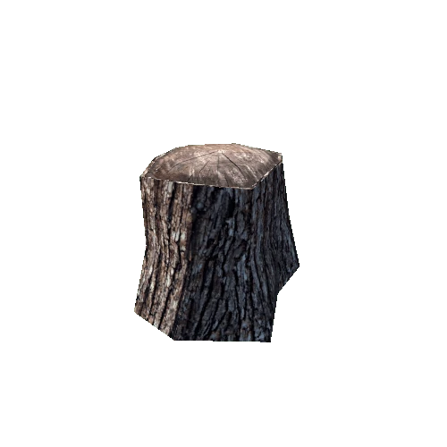 Stump 02